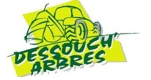 Dessouchage d'abres Tarn Dessouch'Arbres